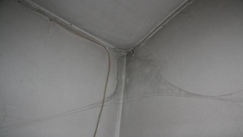 家里有蜘蛛网怎么清除掉？