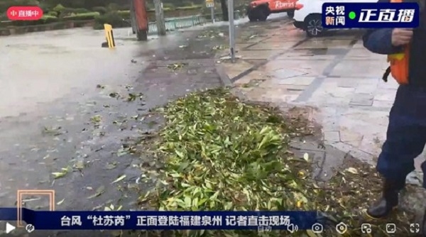 台风来临前做好防御准备；台风过后，做好环境清洁，清理地面淤泥积水！