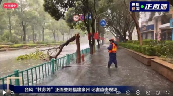 台风来临前做好防御准备；台风过后，做好环境清洁，清理地面淤泥积水！