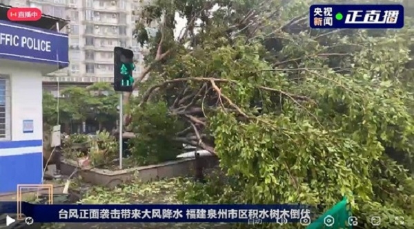 台风来临前做好防御准备；台风过后，做好环境清洁，清理地面淤泥积水！