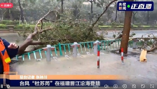 台风来临前做好防御准备；台风过后，做好环境清洁，清理地面淤泥积水！